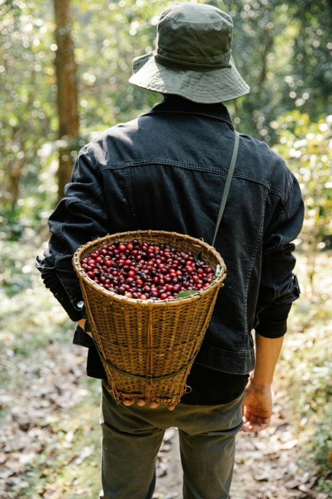 Sustainable Coffee